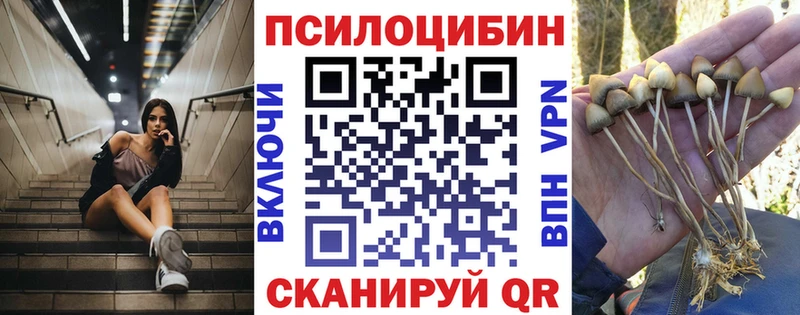 Псилоцибиновые грибы Psilocybe  Полярные Зори 